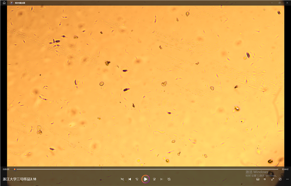重光实验室 | 低温相变观测实录！重光实验室精准捕捉溶液结晶 - 熔融全程